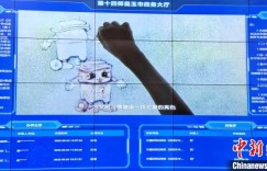 新疆兵团：“数智”何以赋能公共服务？