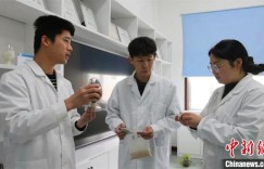 “变废为宝” 新疆民企发力循环产业