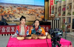 新疆羊肉何以走向全国餐桌？