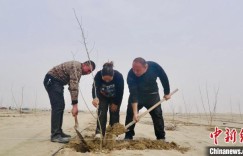 新疆和田县沙海造田 逾6万亩沙漠地实现产业发展