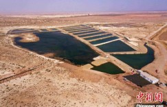 新疆南部特色水产养殖再添新品