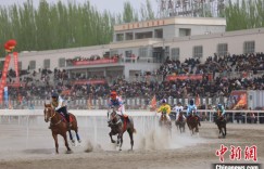 新疆博湖县：春季赛马引客来 “赛事+文旅”激发新动能