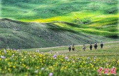 2025“丝绸之路”中国超级马术定向耐力赛昭苏举行