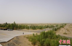 新疆且末治沙：实现“绿进沙退” 迈向“人沙和谐”