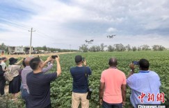 海外媒体人点赞新疆现代农业