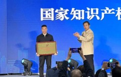 乌鲁木齐经开区获国家级知识产权强国建设试点示范园区