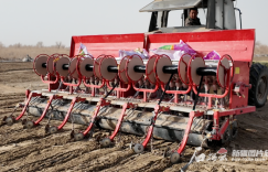 新疆春播进度快于去年同期 已播种150余万亩