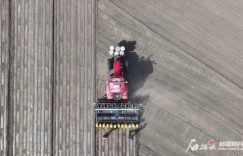 一季度抢前抓早 夯实新疆全年农业丰收基础