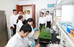 陈小江在昌吉州和兵团五家渠市调研