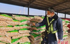 新疆和田开行出境核桃专列