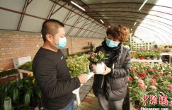 新疆兵团：设施农业“种”出乡村振兴好“钱”景