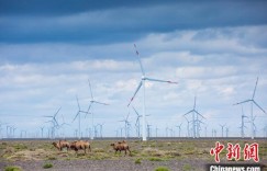新疆电网新能源装机突破4000万千瓦 占比36.09%