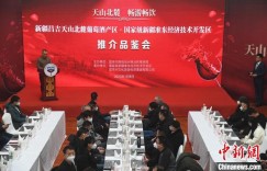 新疆昌吉州举行“天山北麓葡萄酒产区”招商推介会