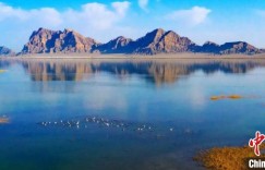 屯垦新城新疆图木舒克为何屡添“绿色”招牌？