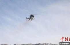 新疆库车市40万亩草原改良项目进行直升机飞播作业