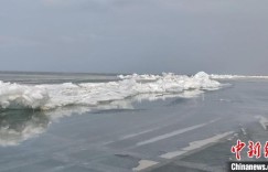 “养眼”“养肺”又“养胃” 新疆博斯腾湖初春见闻