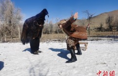 新疆哈萨克族鹰舞 藏着怎样的人与自然和谐相处之道？