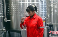 “85后”美女酿酒师，15年坚守只为酿造葡萄美酒