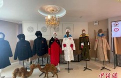 新疆骆驼是如何从 “沙漠之舟”变身“产业之舟”的？