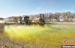 新疆兵团粮食作物单产居全国之首的“秘诀”有哪些？