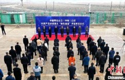 中国阿拉山口（中哈）口岸农副产品快速“绿色通道”正式开通