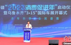 新疆启动“2023消费促进年”活动