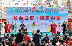 新疆轮台县首届白杏文化旅游节开幕（图）