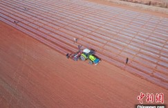 “北斗导航”助力新疆阿克苏市逾112万亩棉花实现精量播种