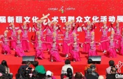 首届新疆文化艺术节群众文化活动展演让民众家门口享文化盛宴