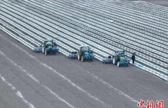 全程机械化！新疆兵团第三师图木舒克市95万亩棉花全面开播