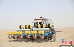 新疆托克逊：40余台卫星导航播种机助力10万亩棉田春播