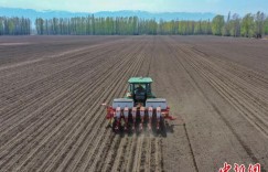 北斗导航助春耕 新疆新源县3.6万亩甜菜开播