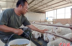 山西援疆新答卷：重民生、育产业、活智力