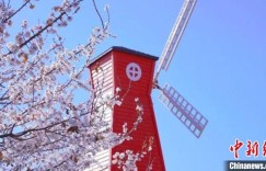 新疆：特色村落让民众在家门口吃上“旅游饭”