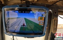 科技“加持”新疆巴州320万亩棉田有序精量播种