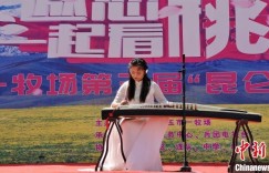 新疆昆仑山下赏花汇活动正酣