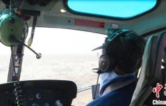 新疆巴州塔里木河流域70万亩胡杨林有害生物飞机防治项目启动