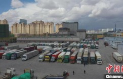 今年一季度新疆霍尔果斯口岸出口果蔬1.4万吨