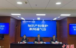 乌鲁木齐市知识产权案近两年数量增加 保护需求多维多元