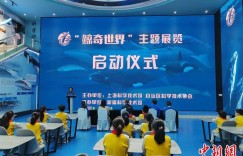 “鲸奇世界”主题展亮相乌鲁木齐