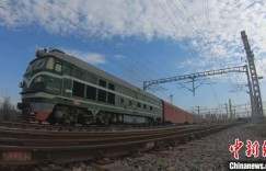 今年新疆霍尔果斯口岸中欧班列日均开行超20列