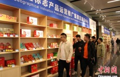 新疆打造地理标志产品运营推广集聚区 助“疆品出疆”