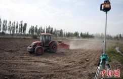 新疆喀什市万亩海水稻开始播种育秧