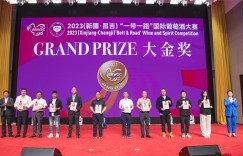 天山北麓葡萄酒的荣耀时刻