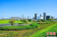 以绿为底进而有为 新疆独山子石化如何建成“花园工厂”？