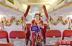 乌鲁木齐航空“和田号”冠名飞机成功首航