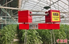 新疆兵团沙漠中建数字化农业“车间”