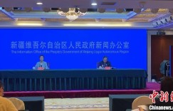 新疆：推进“乌—昌—石”重点区域大气环境整治