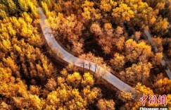 广东加大文旅援疆投入 助力喀什地区旅游业发展