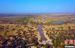 新疆塔里木河流域展开夏季灌溉工作 智慧农业助力节水增效